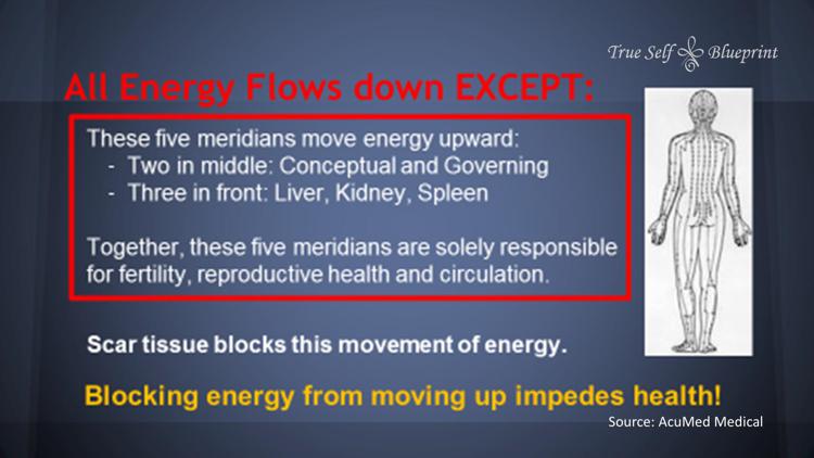 MPS Scar Release Therapy at Olla Terve, Pagosa Springs