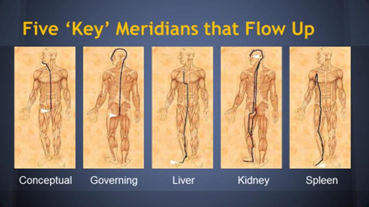 MPS Scar Release Therapy at Olla Terve, Pagosa Springs
